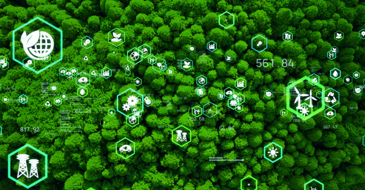 Supply Chain Decarbonization