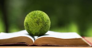 Greenabl regulations 2