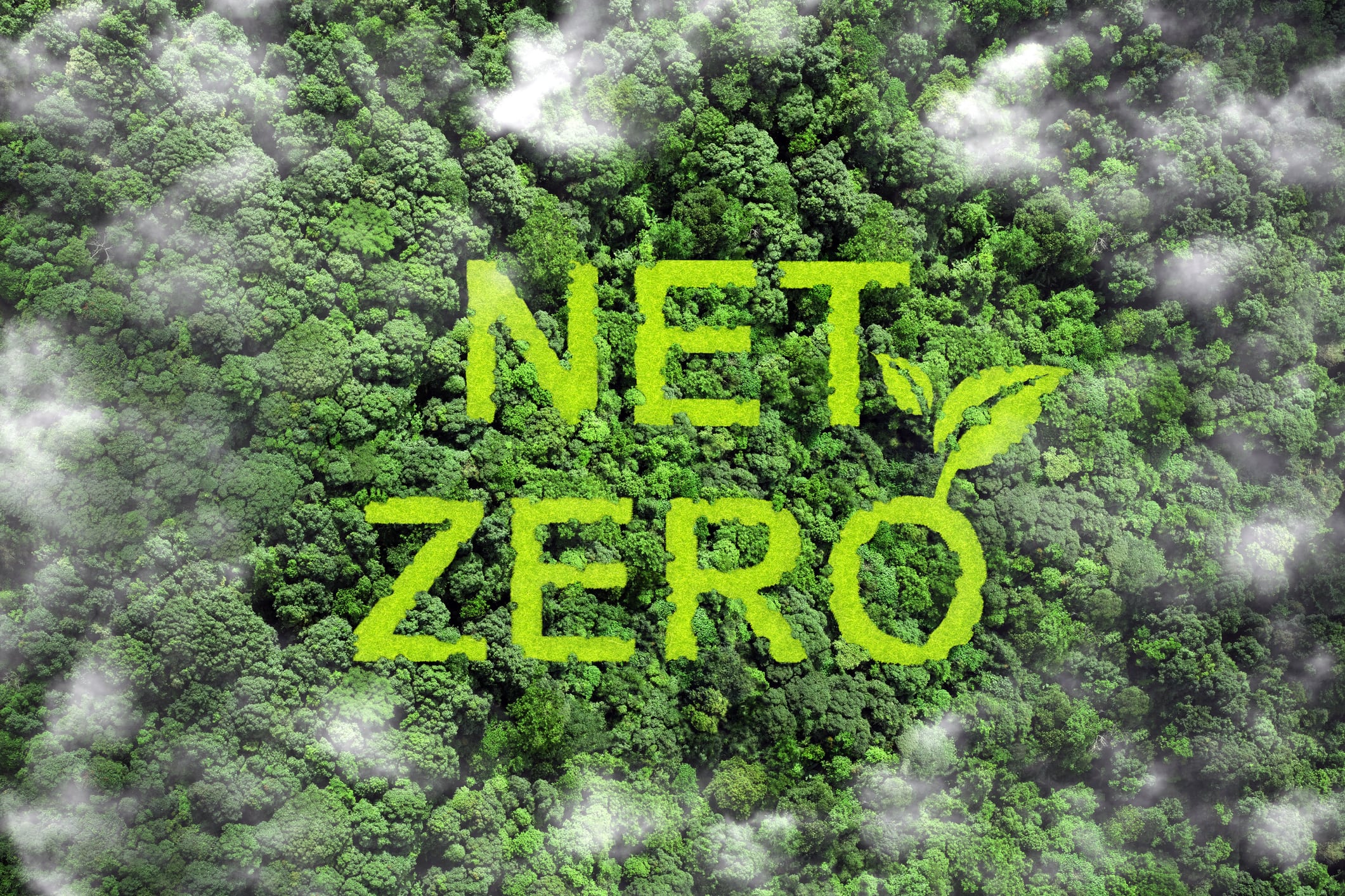 Forest canopy with “NET ZERO” carved in foliage, symbolizing progress toward IMO net zero framework shipping decarbonization.